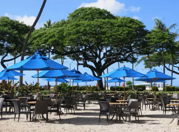 Tropical wonderland! Stroll through and enjoy the gorgeous trees and flowers.