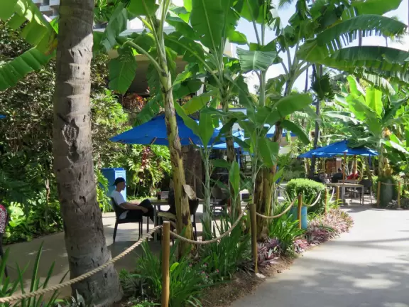 Tropical wonderland! Stroll through and enjoy the gorgeous trees and flowers.