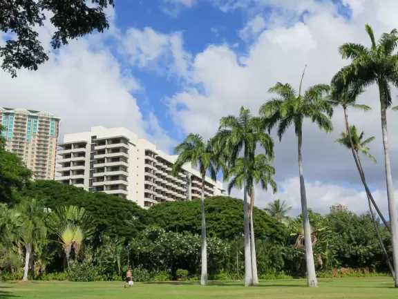 Tropical wonderland! Stroll through and enjoy the gorgeous trees and flowers.