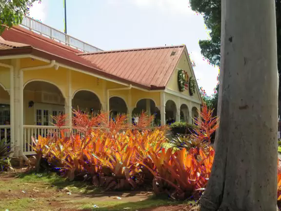 Delicious pineapple whip cones, train ride, garden tour, and world's largest maze!