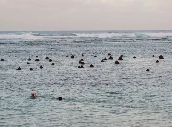 Sweet little beach with steep golden sand, shallow calm water, and a great playground and park full of people!
