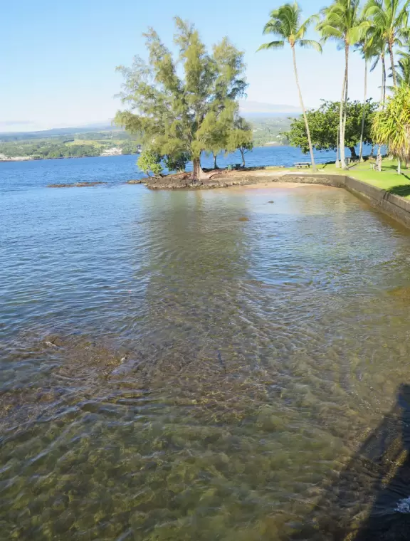 Beautiful little park on an island with a white pedestrian bridge.