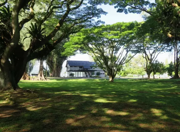 Green, green&nbsp;gardens with Japanese bridges and ponds, and views of silvery Hilo Bay and Mauna Kea.
