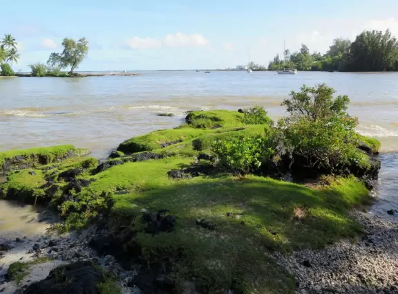 Nice place to stroll around and eat a meal.