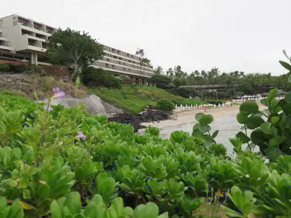 Wonderful place to swim by day, and to watch manta rays by night!