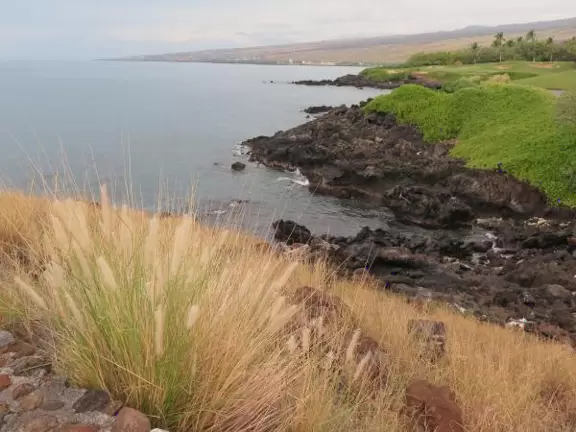 Lovely trail along the lava rock Kohala coast, up above the ocean!