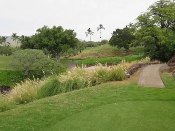 Lovely trail along the lava rock Kohala coast, up above the ocean!