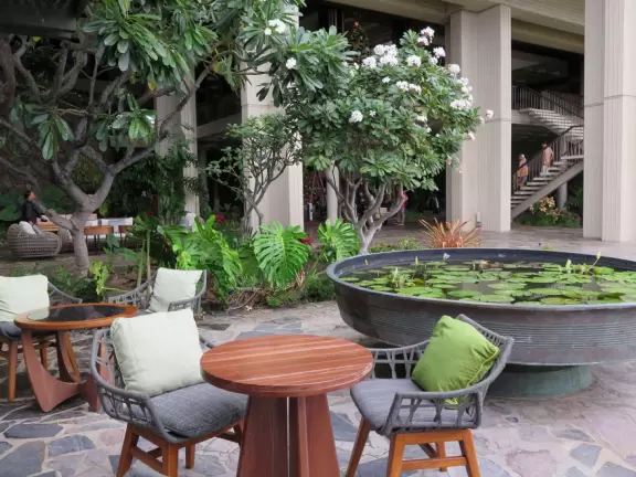 Wonderful place to swim by day, and to watch manta rays by night!