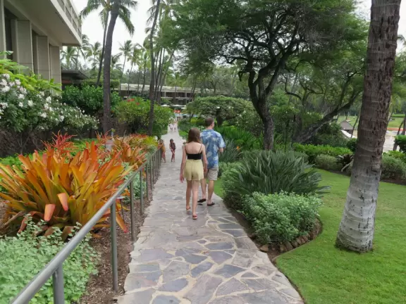 Wonderful place to swim by day, and to watch manta rays by night!