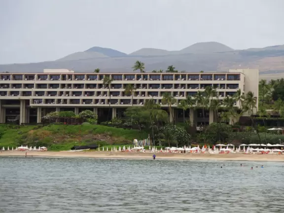 Wonderful place to swim by day, and to watch manta rays by night!