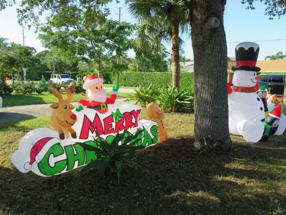A pleasant neighborhood walk to a bridge over the intracoastal.