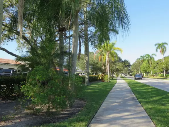 A pleasant neighborhood walk to a bridge over the intracoastal.