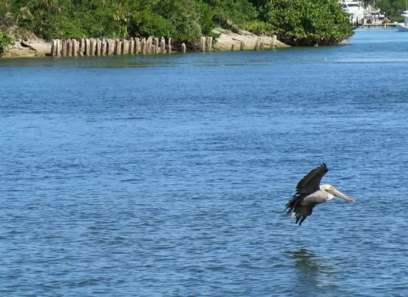 Gorgeous place on the Jupiter inlet across from the lighthouse, with restaurants and a walkway.
