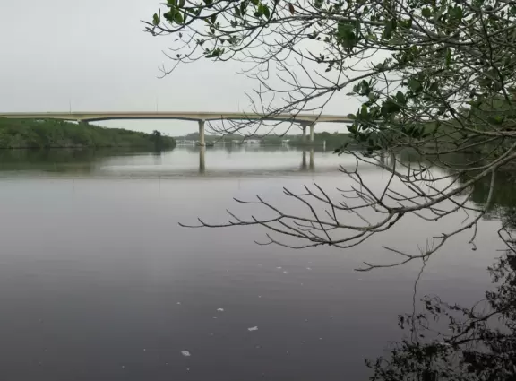 Varied loop walk through forest to the river.
