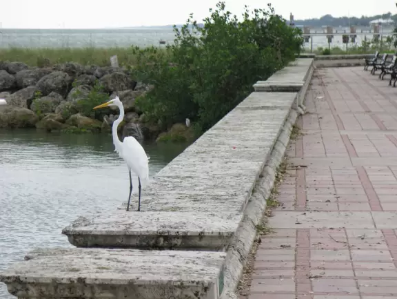 Sleepy, modest town. Good place to start a drive down Indian River Rd, or to enjoy a coffee at Old Florida Coffee Co, the most attractive spot in town.