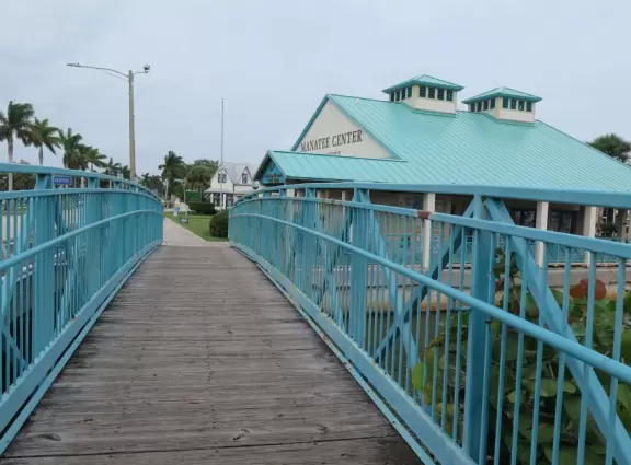 High deck where you can watch manatees in the canal.