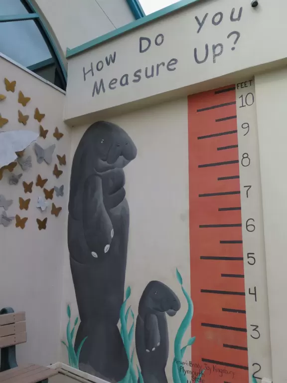 High deck where you can watch manatees in the canal.