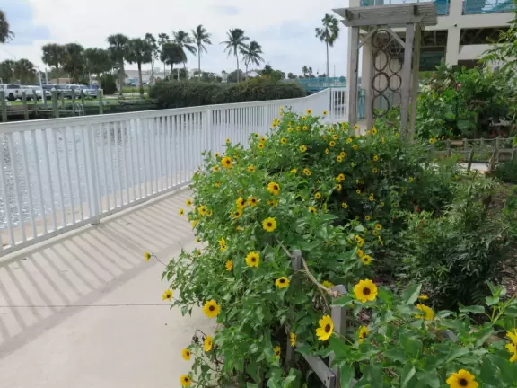 High deck where you can watch manatees in the canal.
