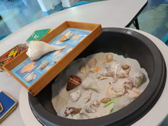 High deck where you can watch manatees in the canal.