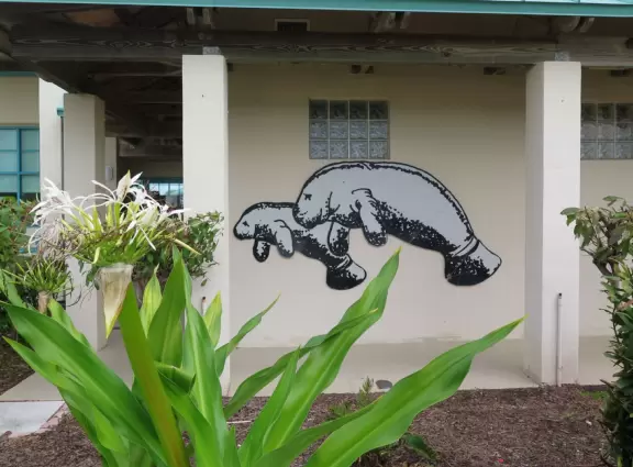 High deck where you can watch manatees in the canal.