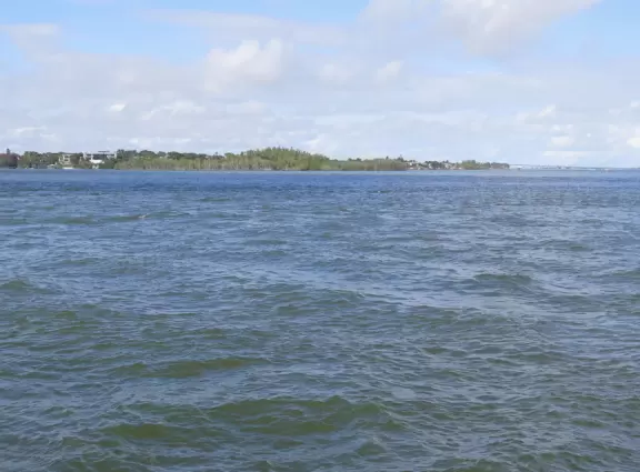 Beautiful park with wooden boardwalks jutting into the intracoastal, nature trail, and beach.