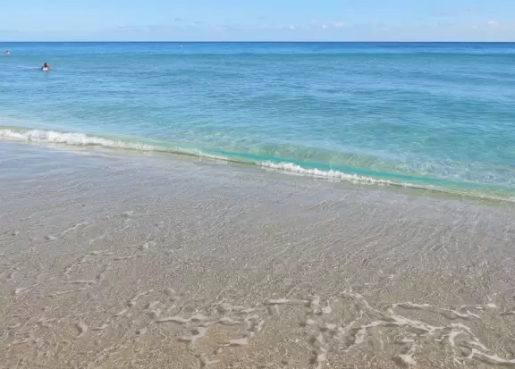 Beach with everything a beach should have: pale sand, aquamarine water, coconut palms, dunes, fit people, and cafes.