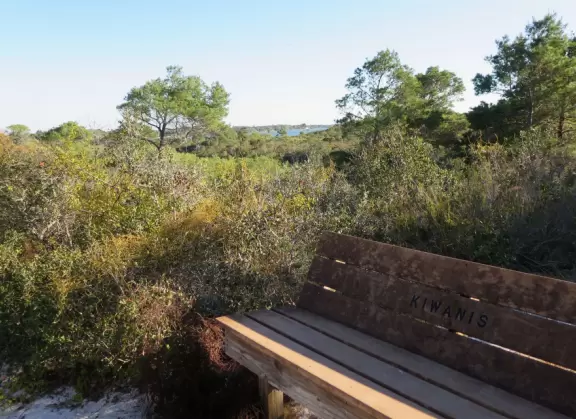 Beautiful trail with nice vistas! See the intracoastal from the top of a hill, and also walk the sandy shore.