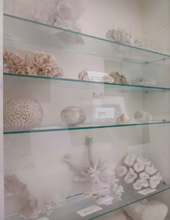 Beautiful trail along the intracoastal beaches, across the street from Blowing Rocks Beach.