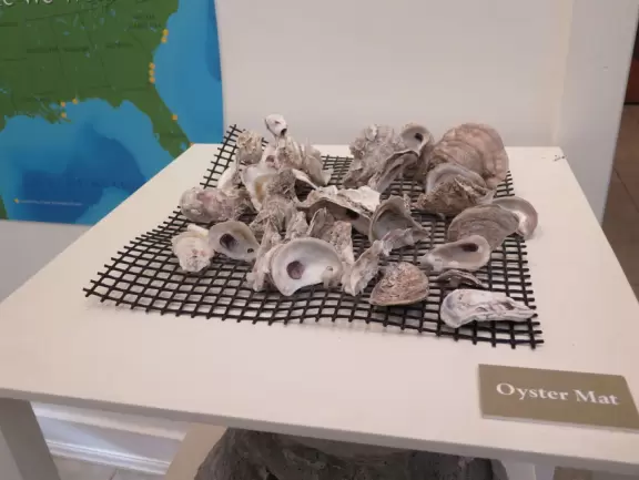 Oyster mat in the visitor center. 