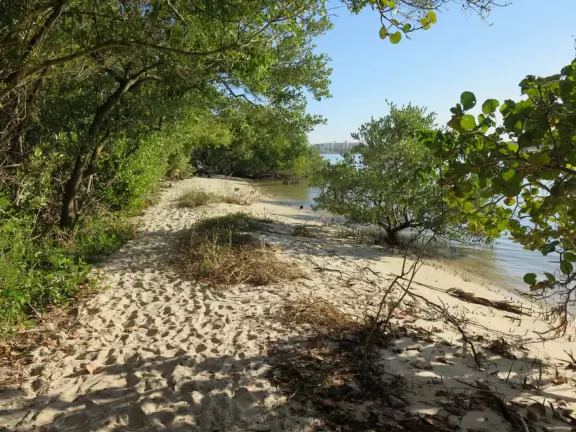 Beautiful trail along the intracoastal beaches, across the street from Blowing Rocks Beach.