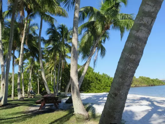 Magical spot with white sand beach on the river, coconut trees galore, views of the Ernest Lyons Bridge, and shady playground with tall, tall slides!