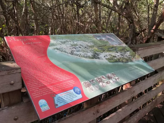 Popular 1.7 mile loop walking path with some shade and wooden boardwalk beside the river.