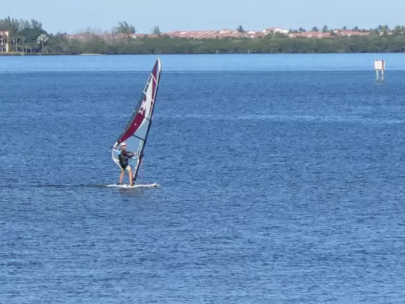 Popular 1.7 mile loop walking path with some shade and wooden boardwalk beside the river.