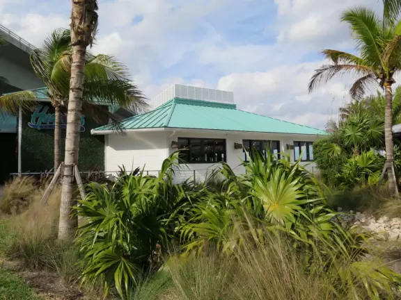 Waterfront park with walking paths under a zillion coconut trees, ship playground in white sand, hopscotch, and colorful pictures and hopscotch on the path.