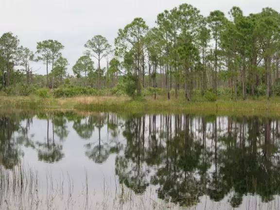 Large playground with sand floor and huge shade canopy, plus hike through a jungle paradise!