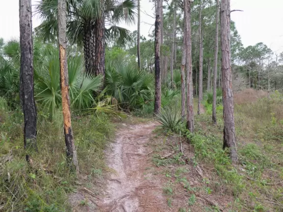 Large playground with sand floor and huge shade canopy, plus hike through a jungle paradise!