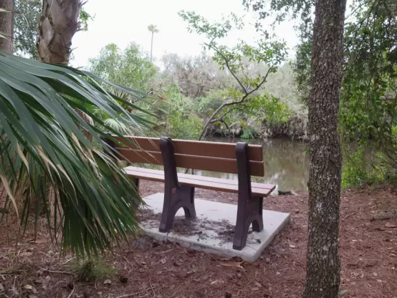 Large playground with sand floor and huge shade canopy, plus hike through a jungle paradise!