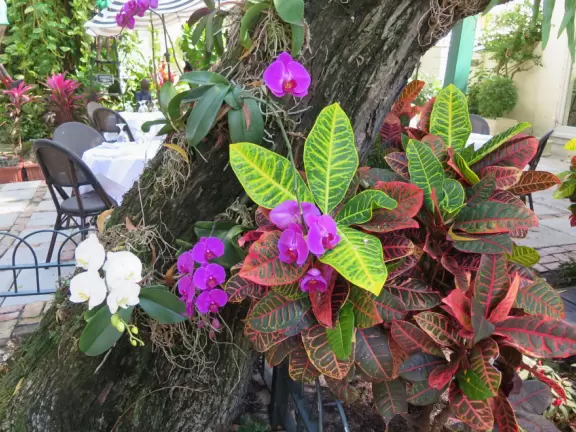 A sumptuous street with Spanish archways and courtyards and unique shops for the extremely rich.