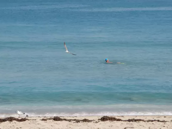 Blissful beach at the end of Worth Avenue, a blissful street! Long pedestrian walkway bordered by wave wall.