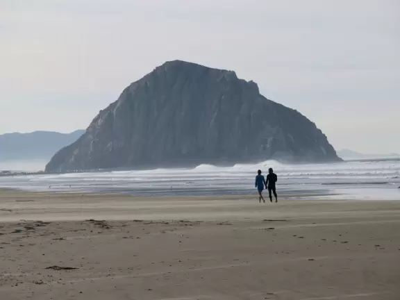 Wonderful wide and secluded beach, with sand dollars galore, and views of Morro Rock!