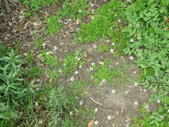 Pretty beach with 1km walking path on the cliffs and gigantic sloped lawn.