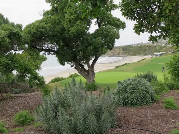 Pretty beach with 1km walking path on the cliffs and gigantic sloped lawn.