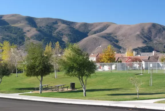 A park with huge twisty slides surrounded by cute hills and cookie-cutter houses.
