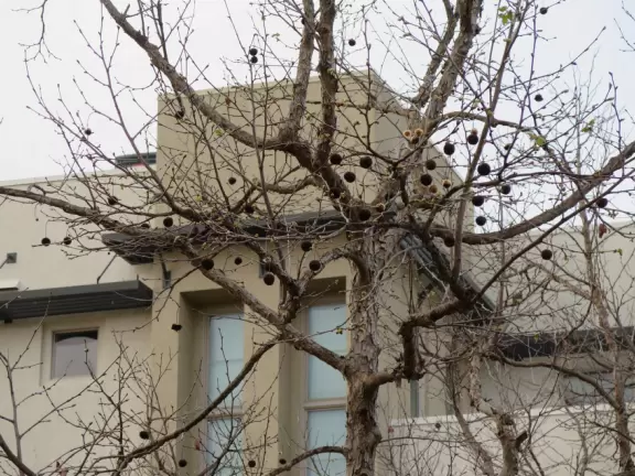 Street with shops and tiny coffee shop, and city views behind.
