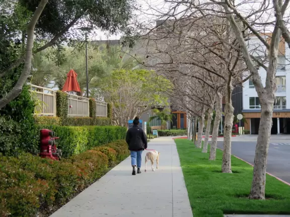 Street with shops and tiny coffee shop, and city views behind.