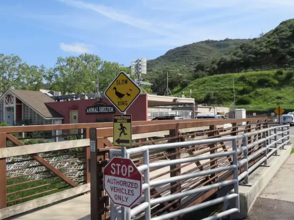 Pool with baby sea lions, through barbed wire.