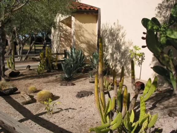 Yellow mission in lovely countryside.