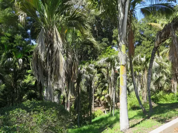 Stroll past beautiful architecture, ponds, fountains, flowers, and trees. Visit many different museums! And best of all, walk through sumptuous gardens.