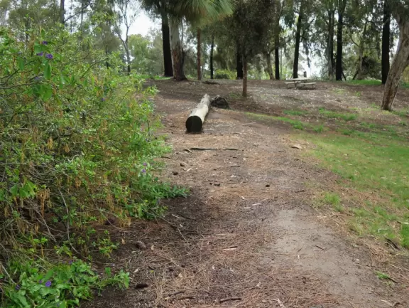 Lovely park atop a high hill, with Spanish presidio (fort) and monuments to early European settlers in California, plus flowers and gorgeous trees.