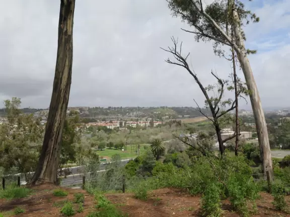 Lovely park atop a high hill, with Spanish presidio (fort) and monuments to early European settlers in California, plus flowers and gorgeous trees.